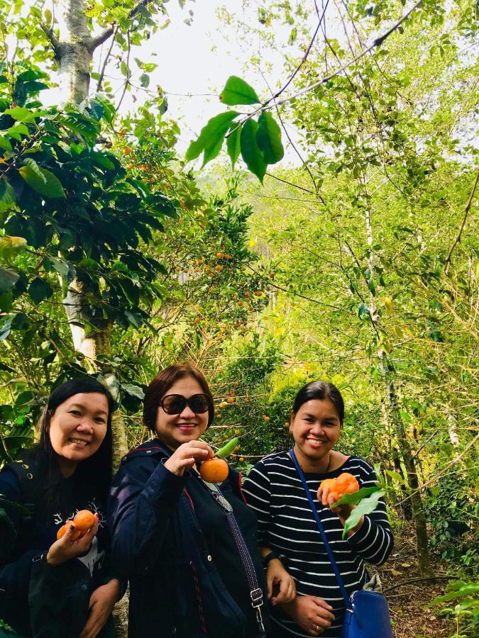 Banga-An Bnb And Coffee House Sagada Esterno foto